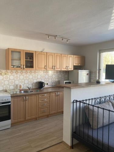 Protivin Apartment | Apartmán se zahradou v Protivíně č.2