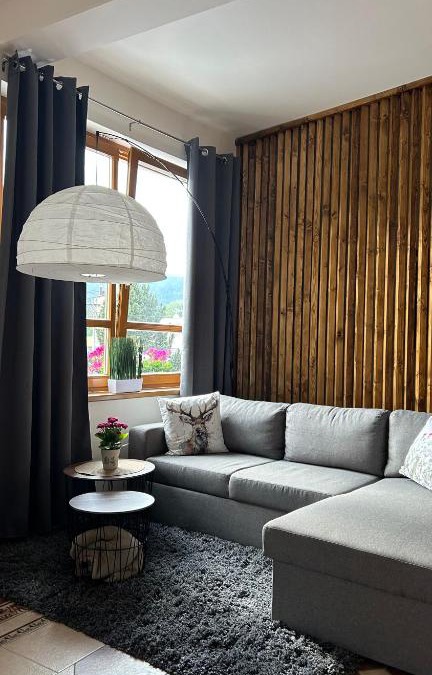 Vrbno pod Pradedem Apartment | Apartmán Smrk