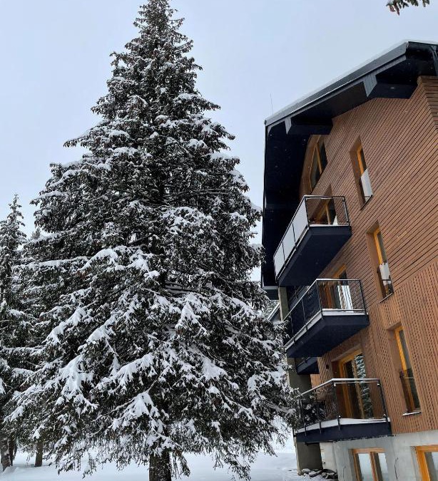 Oravska Lesna Apartment | Apartmán Snow