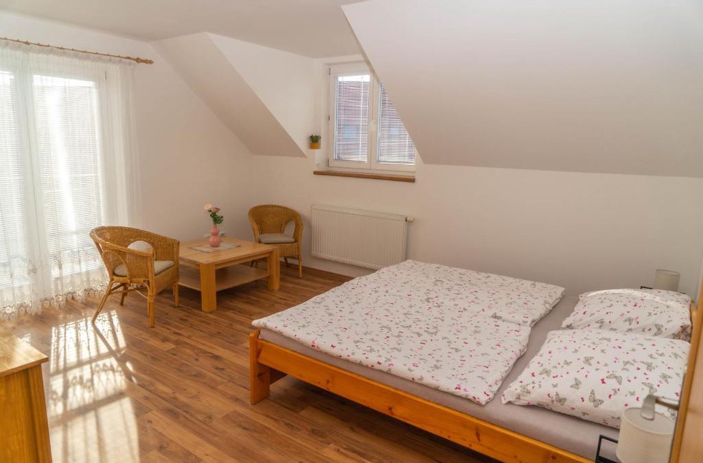 Podebrady Apartment | Apartmán Tereza