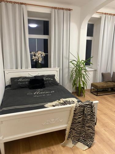 Olomouc Apartment | Apartmán Tržnice