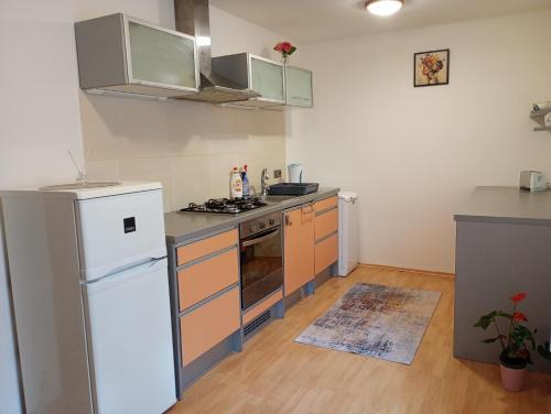 Trencin Apartment | Apartmán Trencan FREE PARKING CITY CENTRE