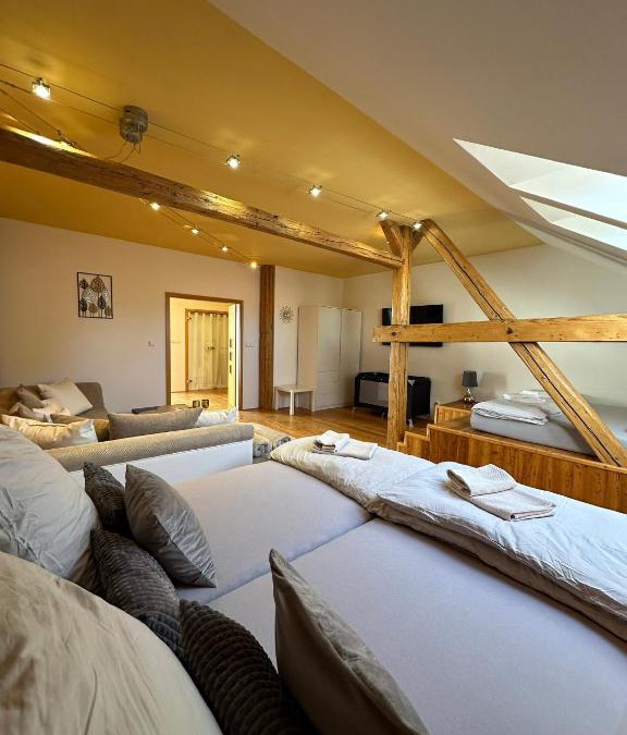 Olomouc Apartment | Apartmán u Dómu