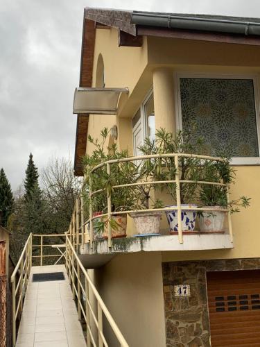 Radvan Apartment | Apartmán u Doktora