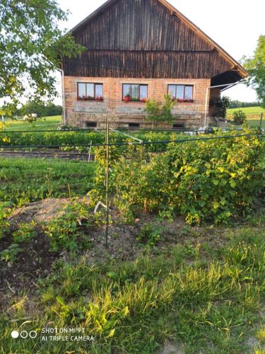 Skuhrov nad Belou Apartment | Apartmán U Milušky