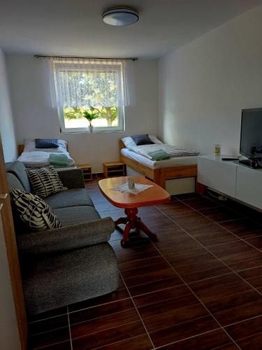 Male Zernoseky Apartment | Apartmán u Přívozu