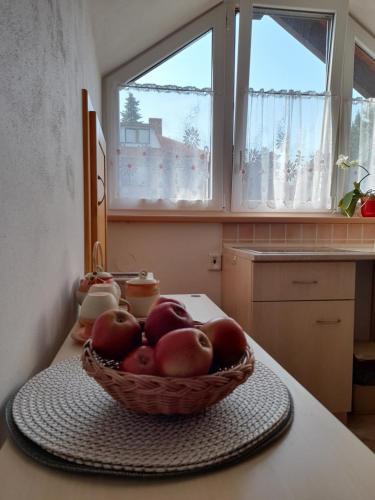 Nove Mesto na Morave Apartment | Apartmán u potoka