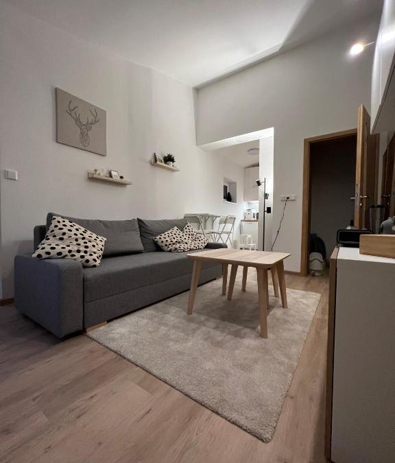 Horni Lipova Apartment | Apartmán U Potoka