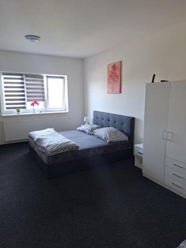 Chodov Apartment | Apartmán U Radka