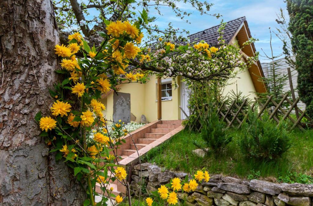 Vilemovice Apartment | Apartmánový dům Vilémovice