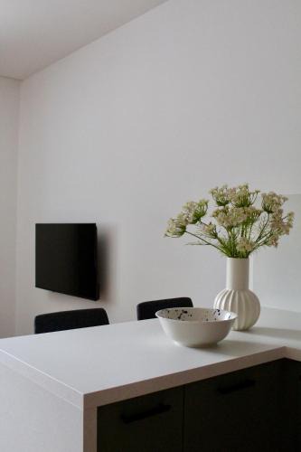 Novy Jicin Apartment | Apartmány Abacie