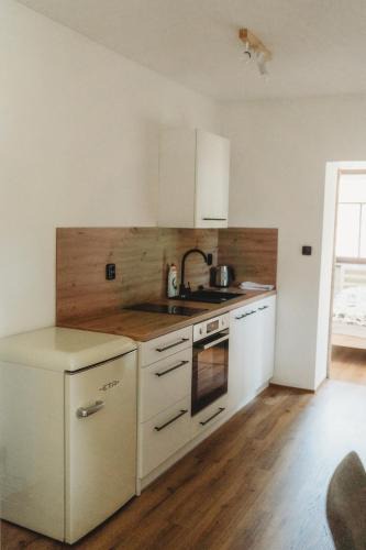 Josefov Dul Apartment | Apartmány Borovice