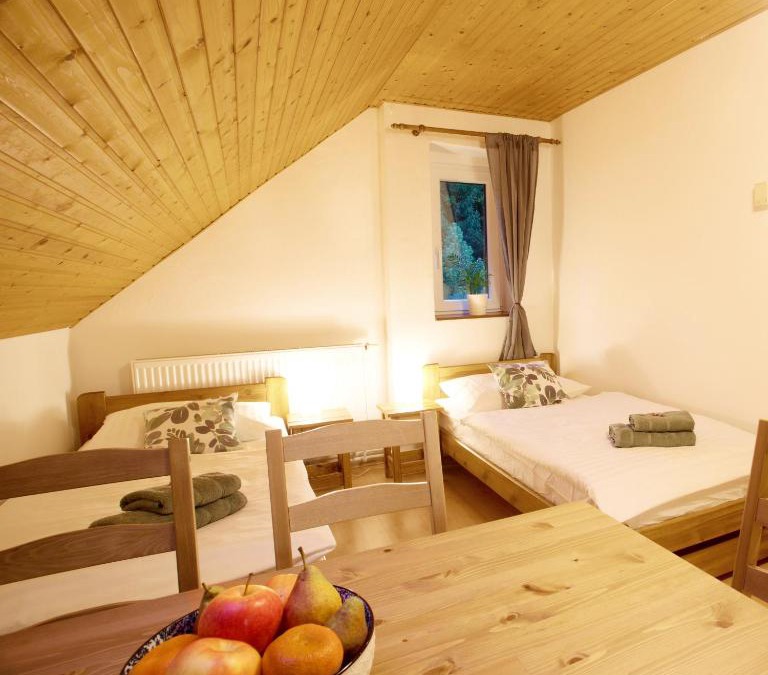 Janov nad Nisou Apartment | Apartmány Bramborka