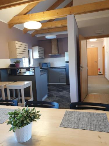 Bozi Dar Apartment | Apartmány Cestář Boží Dar