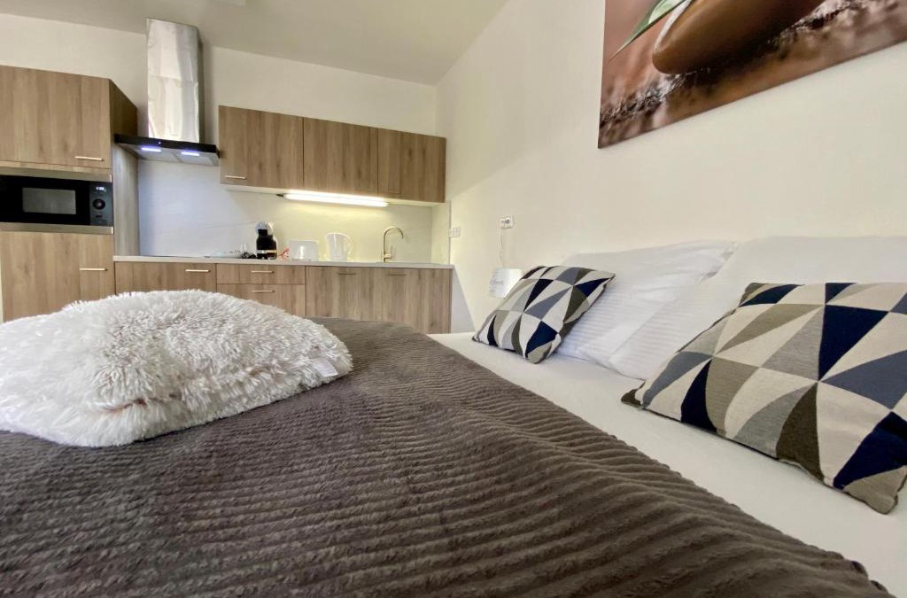 Trebon Apartment | Apartmány Duo Třeboň