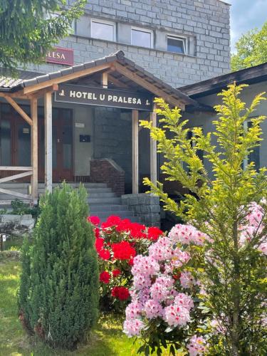 Borovany Apartment | Apartmány IMLADRIS, Hotel u pralesa
