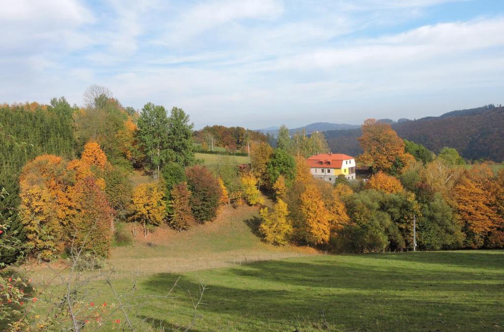 Cotkytle Apartment | Apartmány Na Lontě