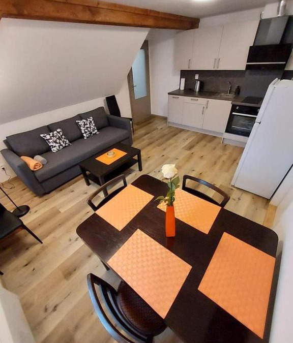 Rudnik Apartment | Apartmány Rudník Bolkov