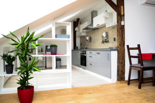 Vitkovice Apartment | Apartmány RUMPA-DRINKS