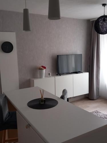 Stribro Apartment | Apartmány Stříbro