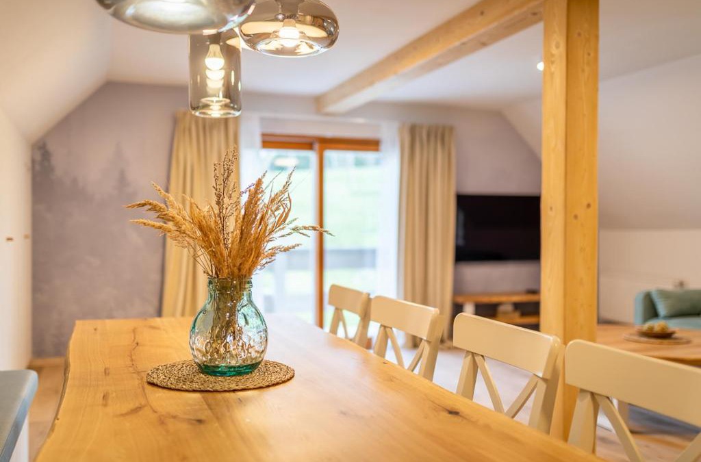 Malenovice Apartment | Apartmány U 3 Zbujů