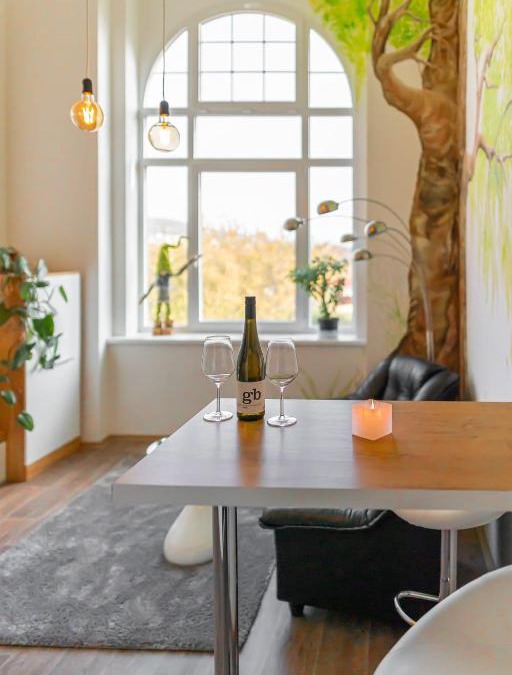 Litomerice Apartment | Apartmány Vila Singles