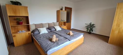 Hamry nad Sazavou Apartment | Apartmány Zelená Hora s velkou zahradou
