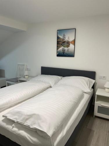 Cheb Apartment | Apartman