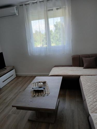 Radanovici Apartment | Apartman Djukic