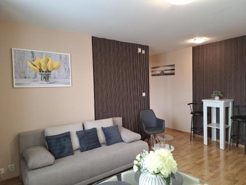 Liptovsky Mikulas Apartment | Apartman Elegance