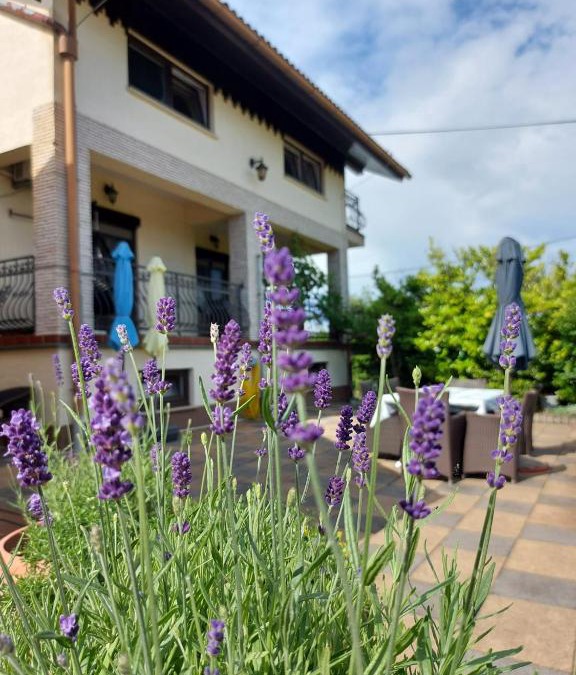 Cvetkovic Apartment | Apartman Nada