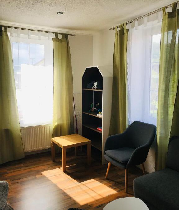 Lipova-Lazne Apartment | Apartmán Třístovka