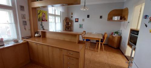 Dvur Kralove nad Labem Apartment | Apartman U Parku