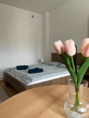 Jicin Apartment | Apartman VAJB