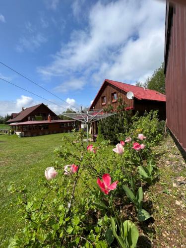 Ceske Petrovice Apartment | Apartmany U vleku 6