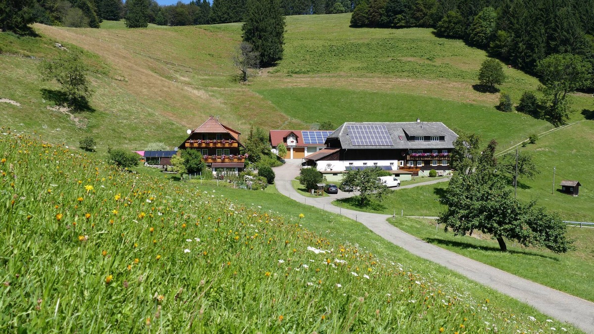 Obermunstertal Apartment | Apartment 'Auszeit -Gipfhof-' with Mountain View, Shared Garden and Wi-Fi