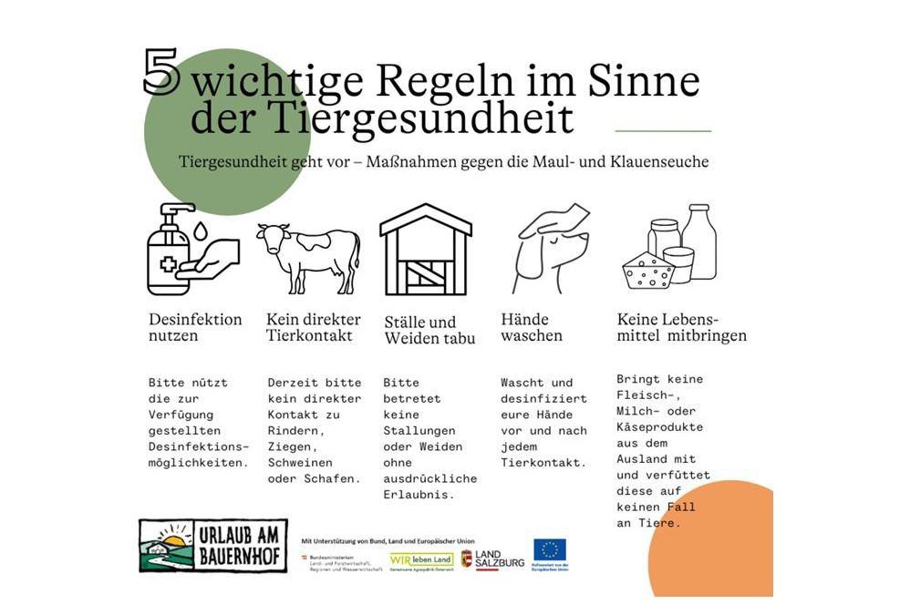 Lunz am See Apartment | Apartment ∙ 1 bedroom ∙ 4 guests