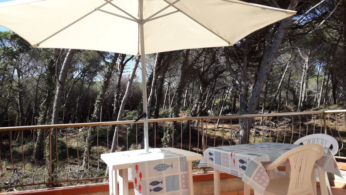 Marina di Bibbona Apartment | Apartment 100 m (real) from the sea