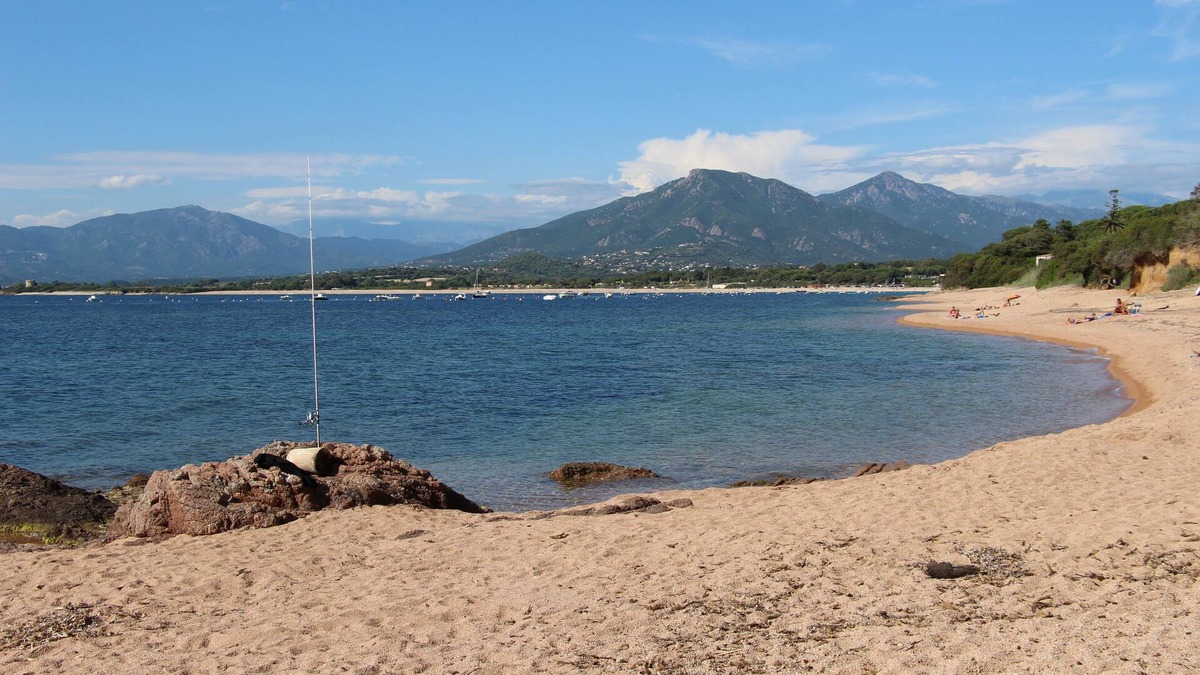Porticcio Apartment | APARTMENT 100 M FROM THE BEACH