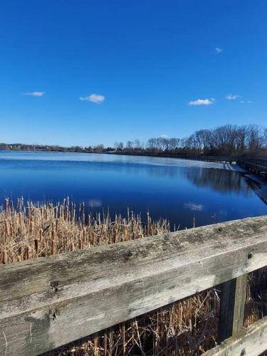 Ypsilanti Apartment | Apartment ∙ 2 bedrooms ∙ 4 guests
