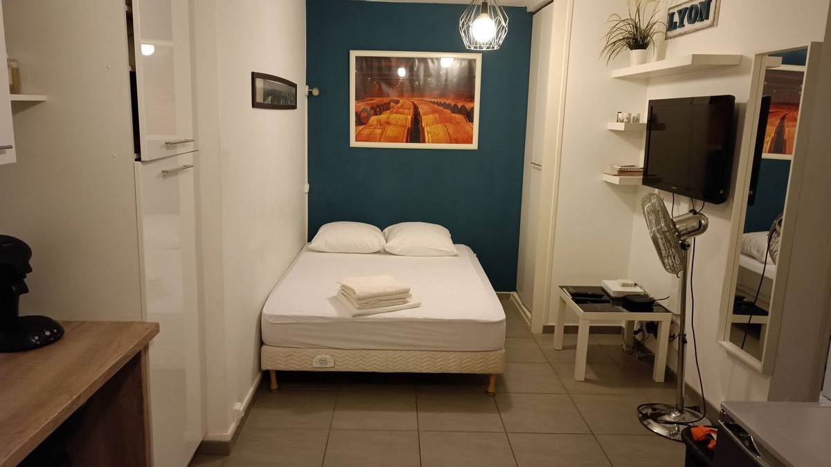 Part Dieu - Bir Hakeim Apartment | Apartment 2 downtown part god!
