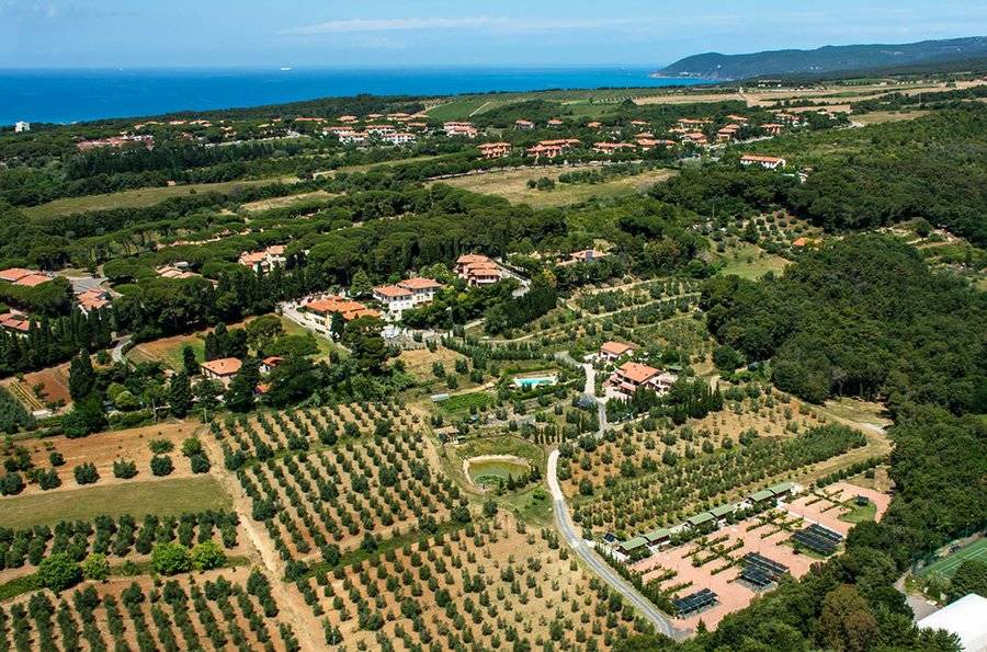 Castiglioncello Apartment | Apartment ∙ 2 guests