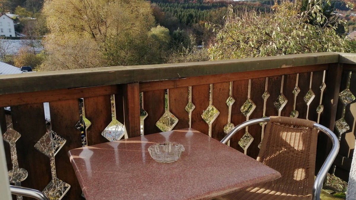 Tendon Apartment | Apartment 25 minutes from Gérardmer, Epinal, Remiremont. Pets welcome.