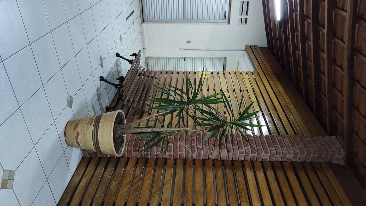 Zona Leste Apartment | Apartment 3 bedrooms Santo André