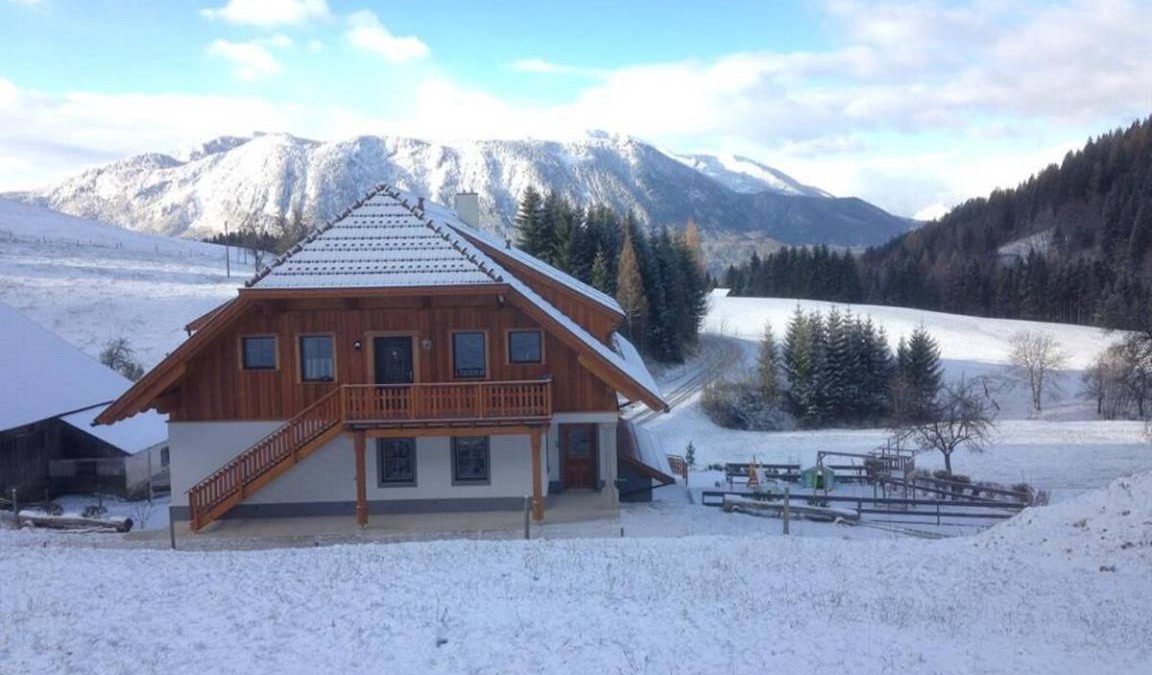 Spital am Pyhrn Apartment | Apartment ∙ 4 guests