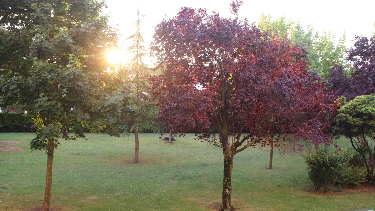 Cauderan Apartment | APARTMENT 5 PERSONS BORDEAUX OUEST special companies