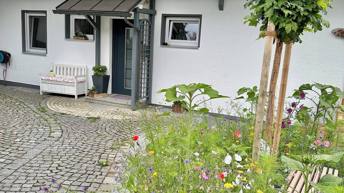 Jandelsbrunn Apartment | Apartment, 70 square meters, with a wonderful view of the Bavarian Forest