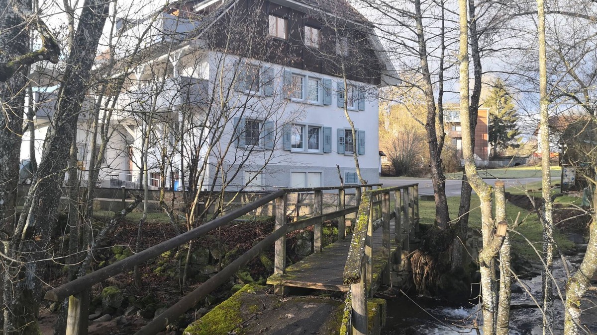 Uehlingen-Birkendorf Apartment | Apartment 'Alter Farbhof' with Private Terrace, Shared Garden and Wi-Fi