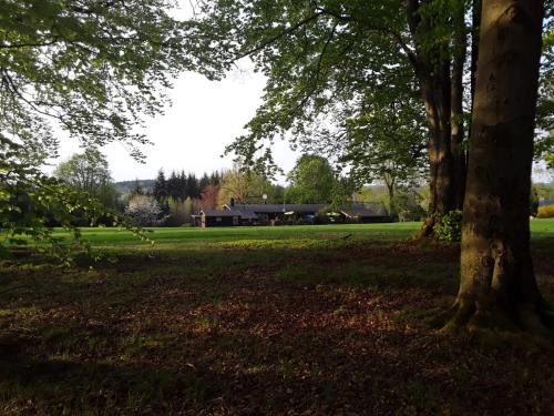 Presseck Apartment | Apartment am Buchenhain