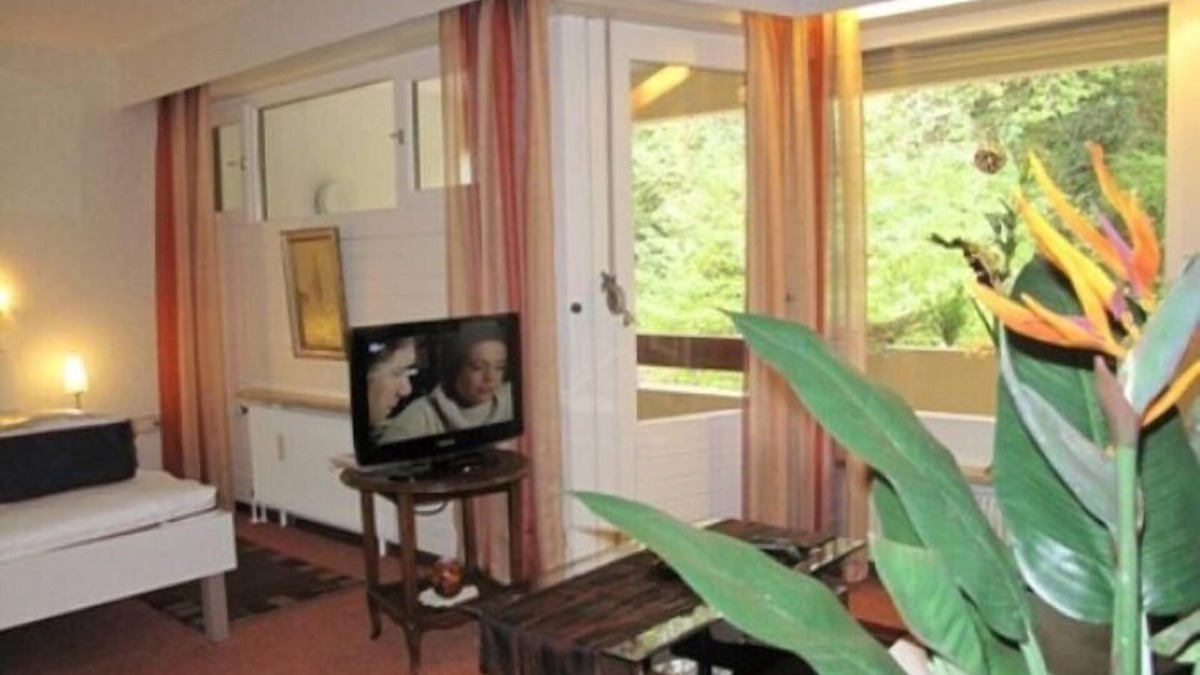Bad Bellingen Apartment | Apartment Appartement 120
